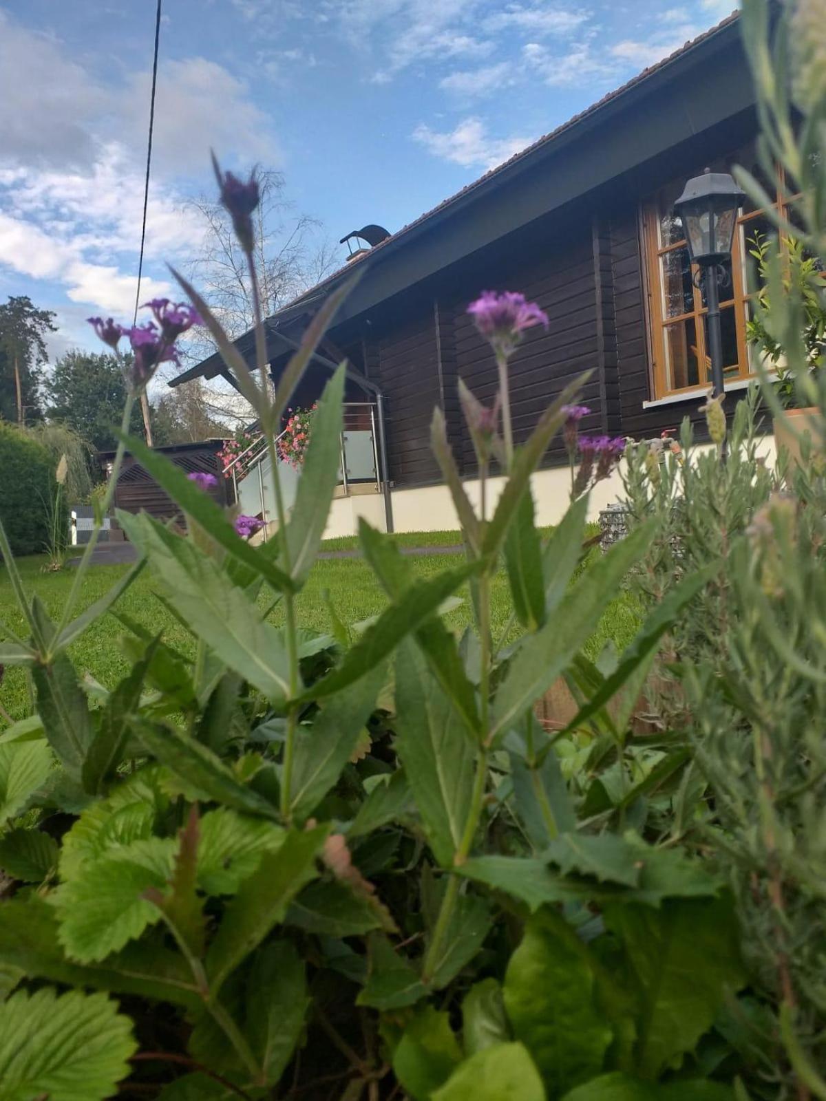 Villa Ferienhaus Kumpitsch à Sankt Johann im Saggautal Extérieur photo